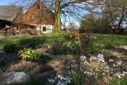 Ferienwohnung Teichidyll Saalendorf Objektansicht