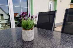 Ferienwohnung Katzensprung Objektansicht